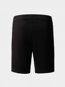 Шорты The North Face модель NF0A82T3JK31 Фото
