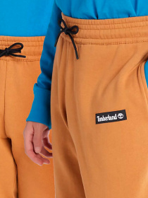 Брюки Timberland модель TB0A5V7HP47 Фото