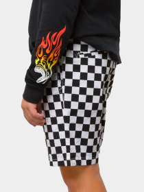 Шорты Vans модель VN0A7SHE7051 Фото