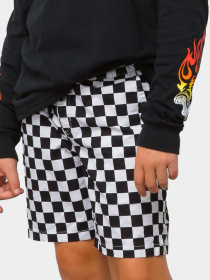 Шорты Vans модель VN0A7SHE7051 Фото