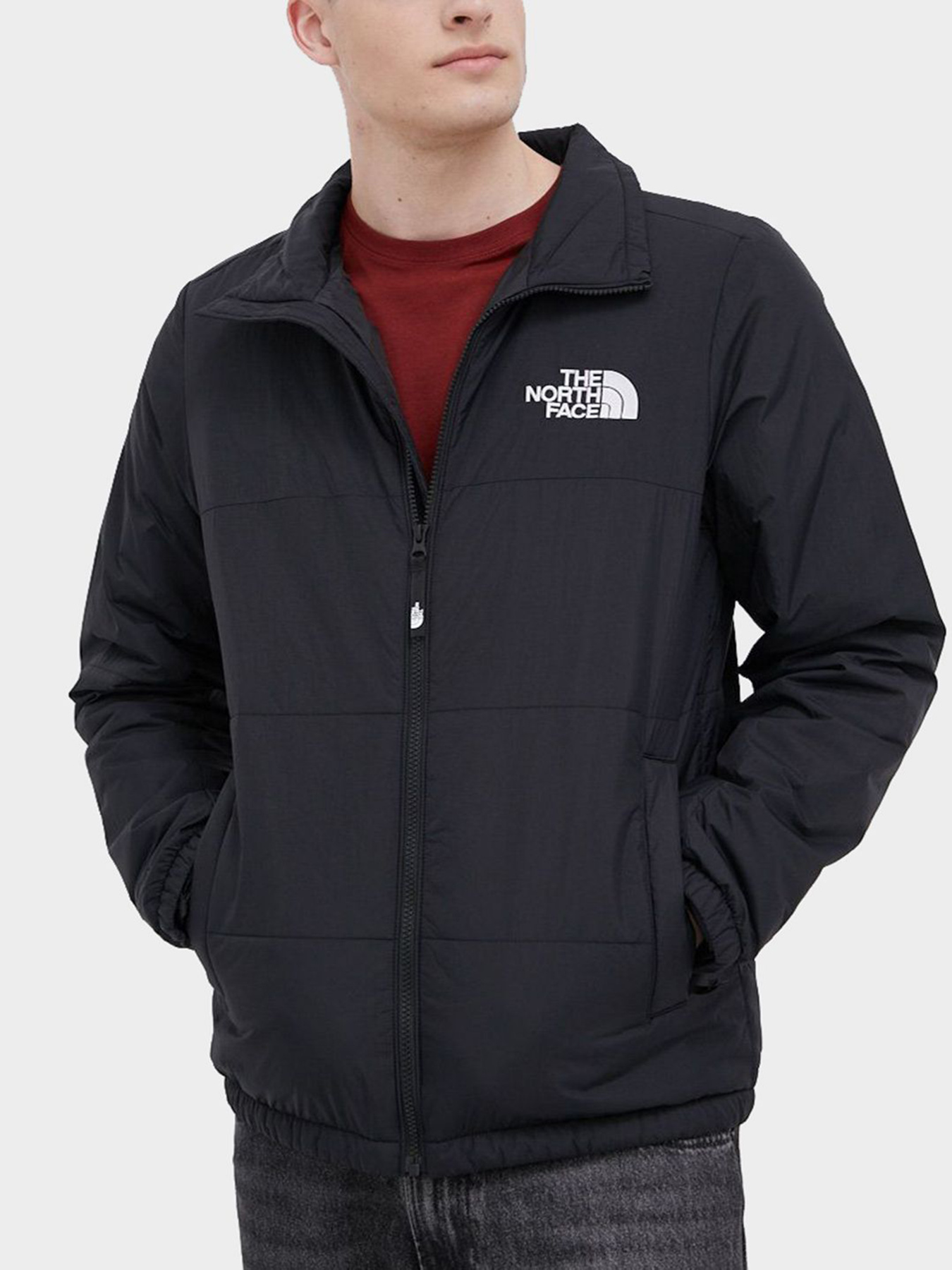 Куртки и дубленки The North Face модель NF0A557VJK31 Фото