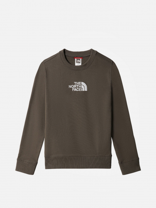 Худи и свитшоты The North Face модель NF0A7R1G21L1 Фото