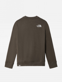 Худи и свитшоты The North Face модель NF0A7R1G21L1 Фото