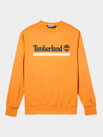 Худи и свитшоты Timberland модель A2AMHZ42 Фото