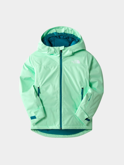 Куртки и дубленки The North Face модель NF0A7UN66S01 Фото