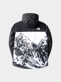 Куртки и дубленки The North Face модель NF0A7WONJK31 Фото