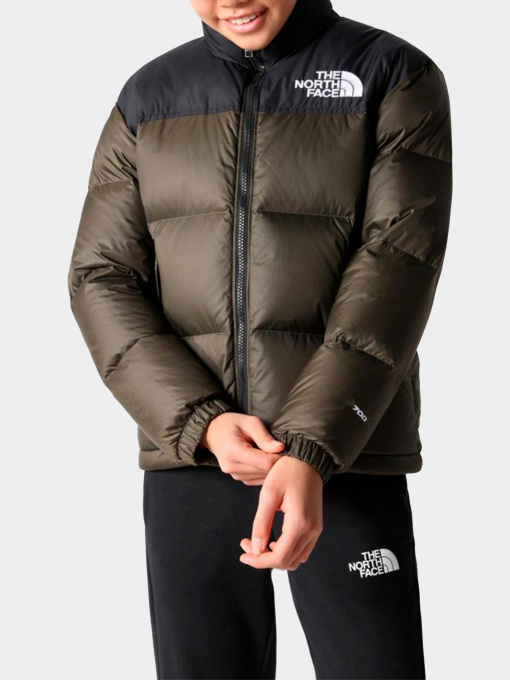 Куртки и дубленки The North Face модель NF0A7WQO21L1 Фото