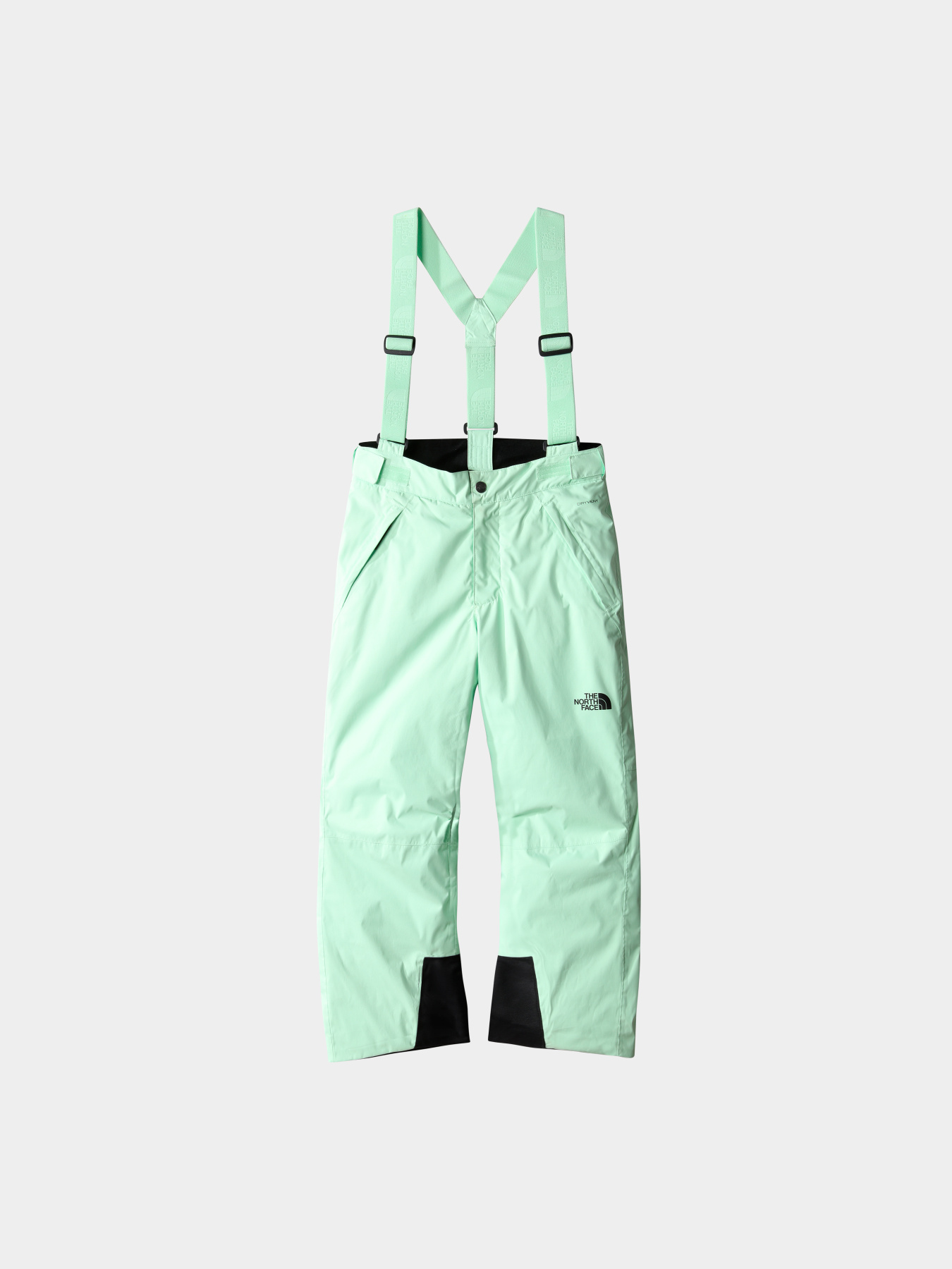 Брюки The North Face модель NF0A7X3P6S01 Фото