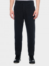 Брюки Emporio Armani модель 6L1P6S-1JZ3Z-0667 Фото
