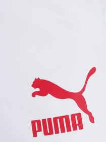 Брюки PUMA модель 53009902 Фото