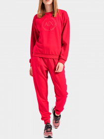Худи и свитшоты Armani Exchange модель 8NYM67-YJ1GZ-14AP Фото