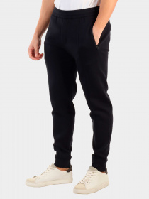 Брюки Emporio Armani модель 3R1PZ8-1JHSZ-0920 Фото