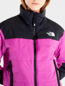 Куртки и дубленки The North Face модель NF0A491JYV31 Фото