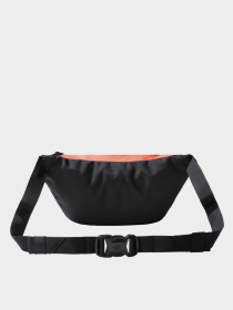 Сумки The North Face модель NF0A52TMZV11 Фото