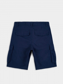 Шорты The North Face модель NF0A55B68K21 Фото
