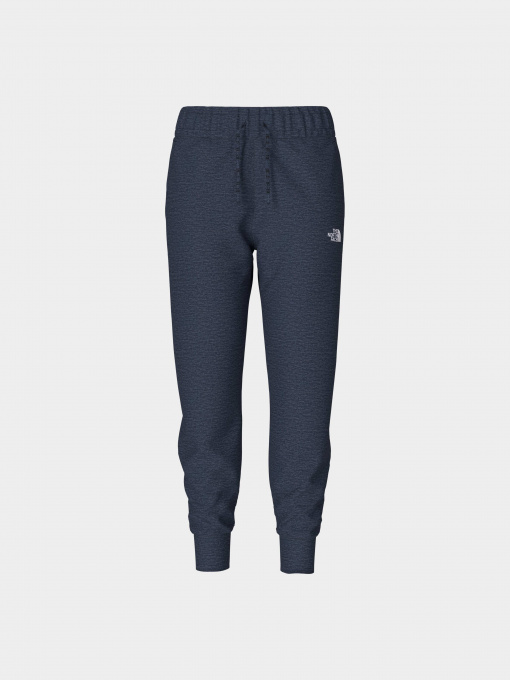 Брюки The North Face модель NF0A5GCB8Q01 Фото