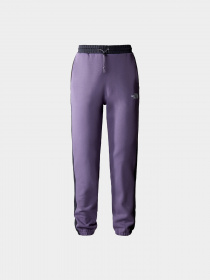 Брюки The North Face модель NF0A7UQ1N141 Фото