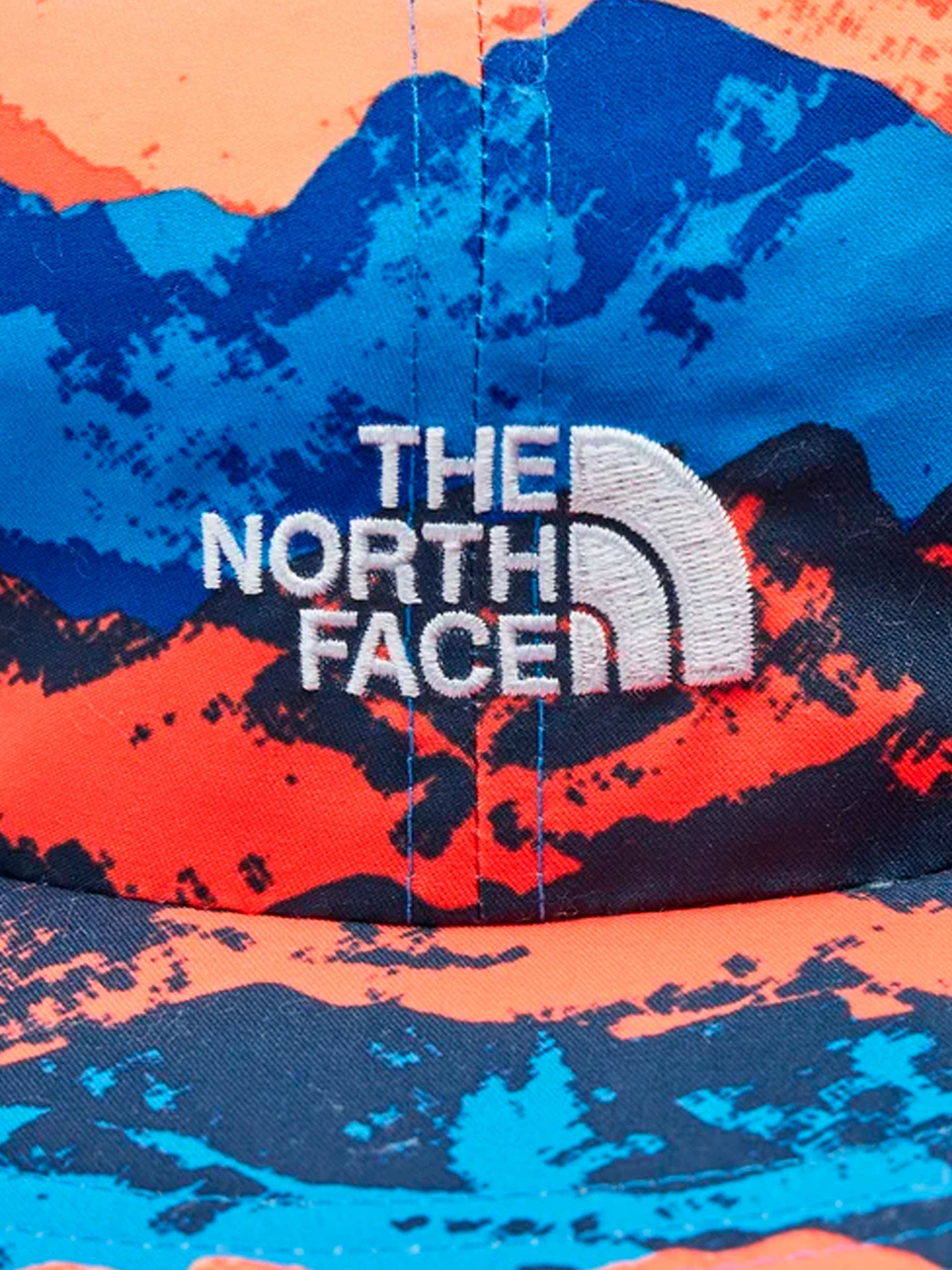 Шапки и кепки The North Face модель NF0A7WHEIQC1 Фото