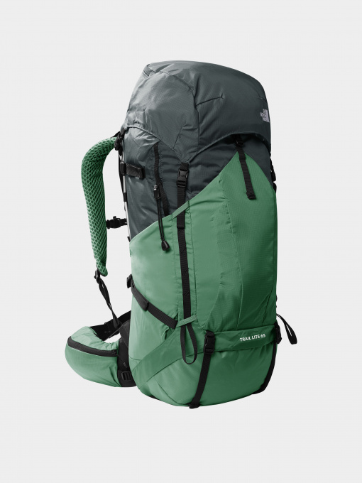 Рюкзаки The North Face модель NF0A81CEP7P1 Фото