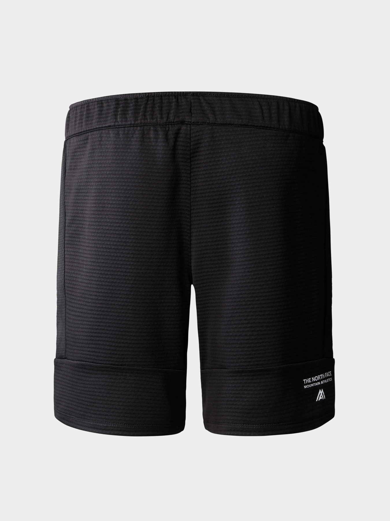 Шорты The North Face модель NF0A823OJK31 Фото