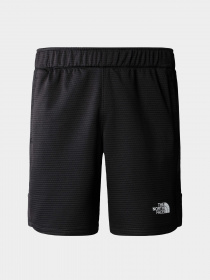 Шорты The North Face модель NF0A823OJK31 Фото