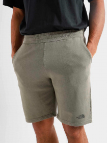 Шорты The North Face модель NF0A826M21L1 Фото