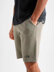 Шорты The North Face модель NF0A826M21L1 Фото