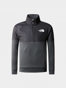 Худи и свитшоты The North Face модель NF0A82E10C51 Фото