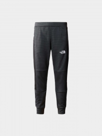 Брюки The North Face модель NF0A82E50C51 Фото