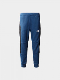 Брюки The North Face модель NF0A82E5HDC1 Фото