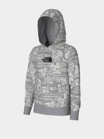 Худи и свитшоты The North Face модель NF0A82EGIWD1 Фото