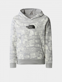 Худи и свитшоты The North Face модель NF0A82EGIWD1 Фото