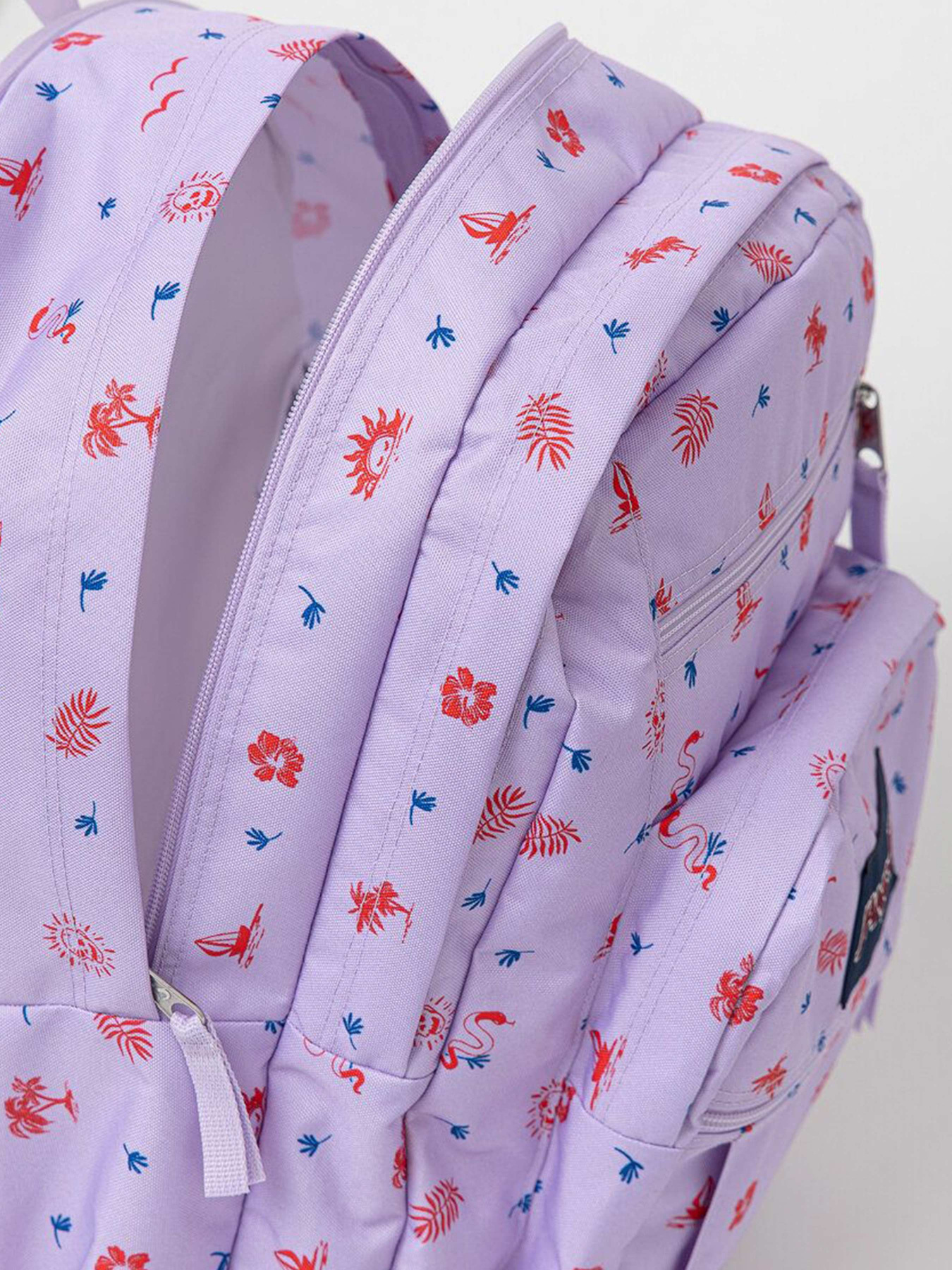 Рюкзаки JanSport модель EK0A5BAH1D91 Фото