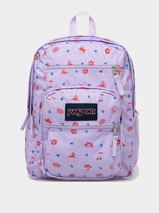 Рюкзаки JanSport модель EK0A5BAH1D91 Фото