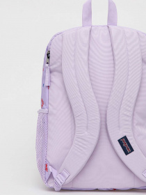 Рюкзаки JanSport модель EK0A5BAH1D91 Фото