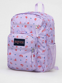 Рюкзаки JanSport модель EK0A5BAH1D91 Фото