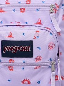 Рюкзаки JanSport модель EK0A5BAH1D91 Фото