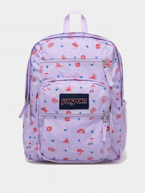 Рюкзаки JanSport модель EK0A5BAH1D91 Фото