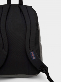 Рюкзаки JanSport модель EK0A5BAHN601 Фото