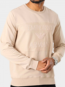 Худи и свитшоты Emporio Armani модель 211859-3R484-00051 Фото