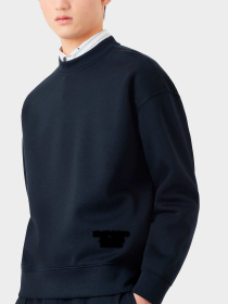 Худи и свитшоты Emporio Armani модель 3R1MBH-1JRHZ-0920 Фото