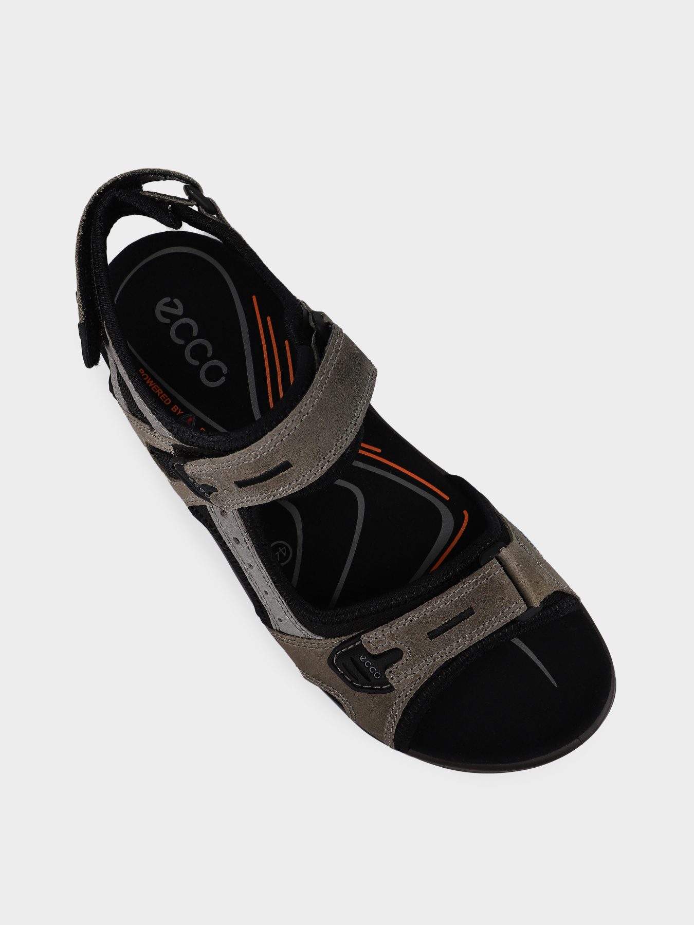 Сандалии ECCO модель 06956451693 Фото