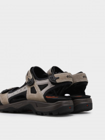 Сандалии ECCO модель 06956451693 Фото