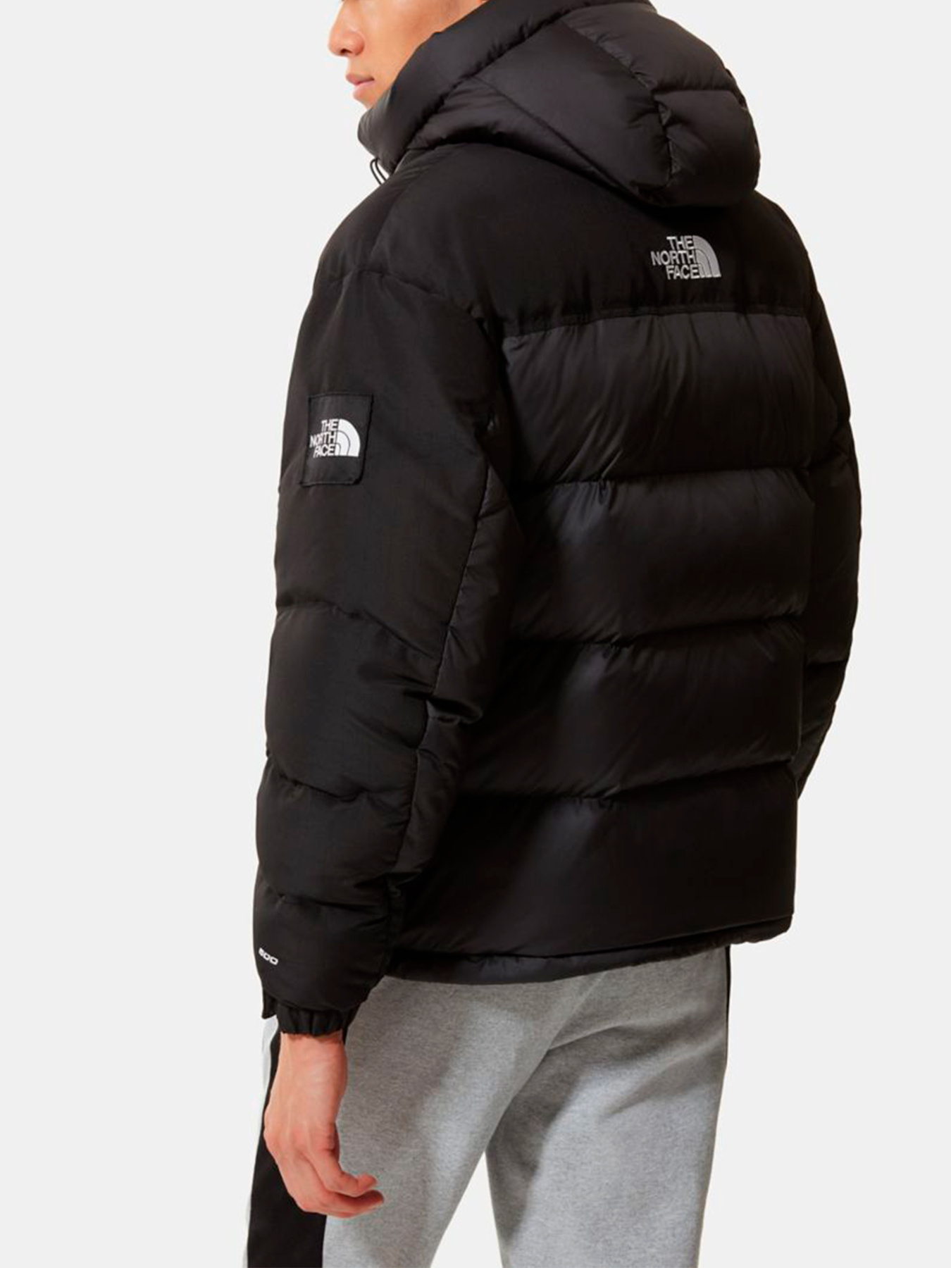 Куртки и дубленки The North Face модель NF0A55I6JK31 Фото
