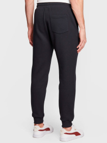 Брюки Colmar модель 8216-8WW-68 Фото