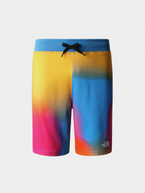 Шорты The North Face модель NF0A3S4EIAX1 Фото