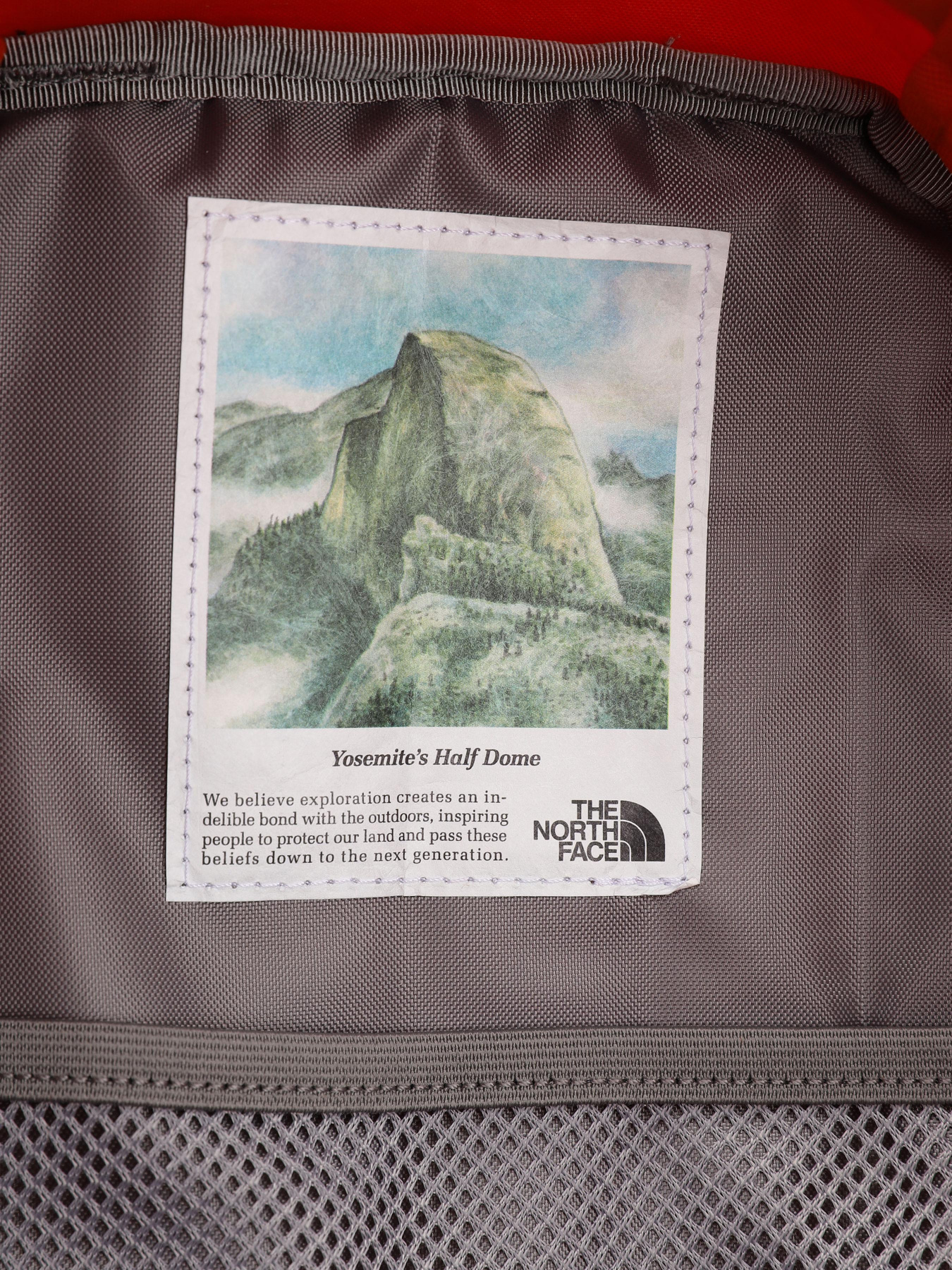 Рюкзаки The North Face модель NF0A52VNIT11 Фото