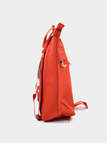 Сумки The North Face модель NF0A52VSIT11 Фото