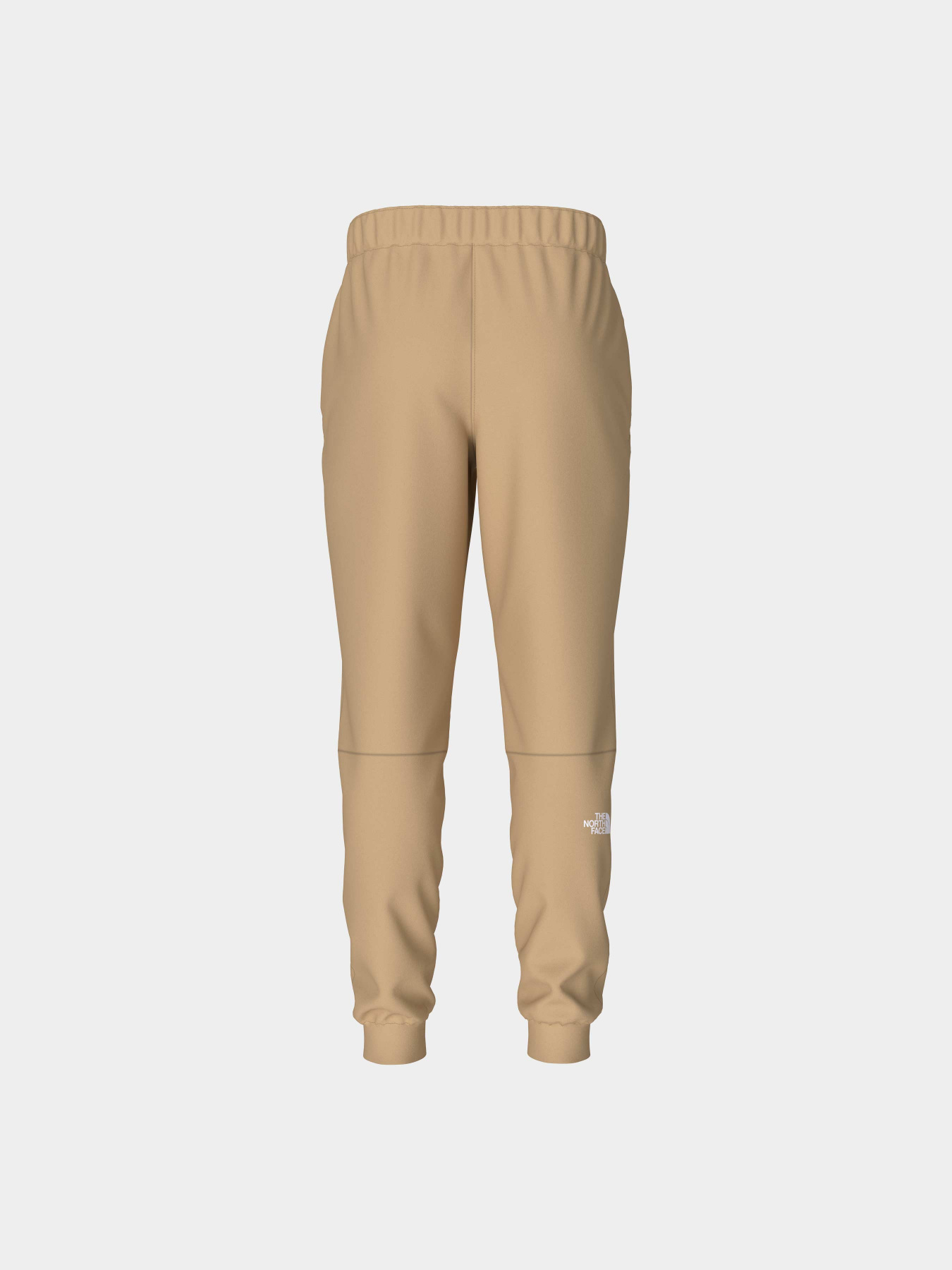 Брюки The North Face модель NF0A7Z9PLK51 Фото