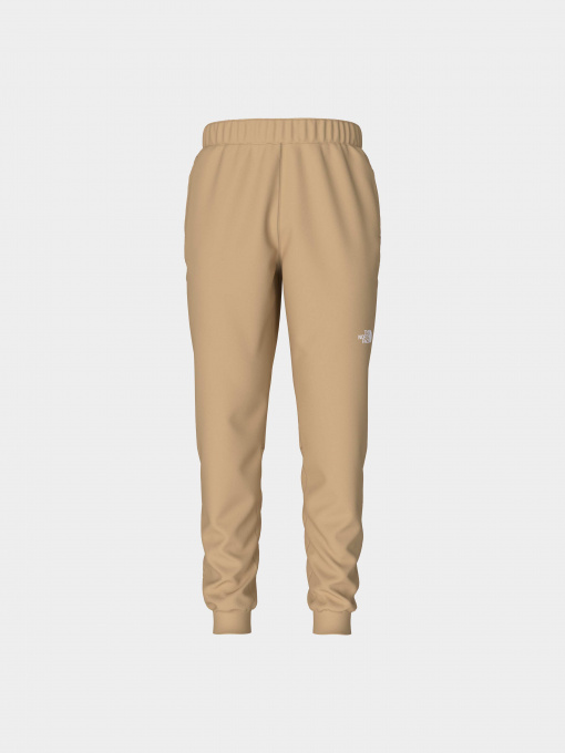 Брюки The North Face модель NF0A7Z9PLK51 Фото
